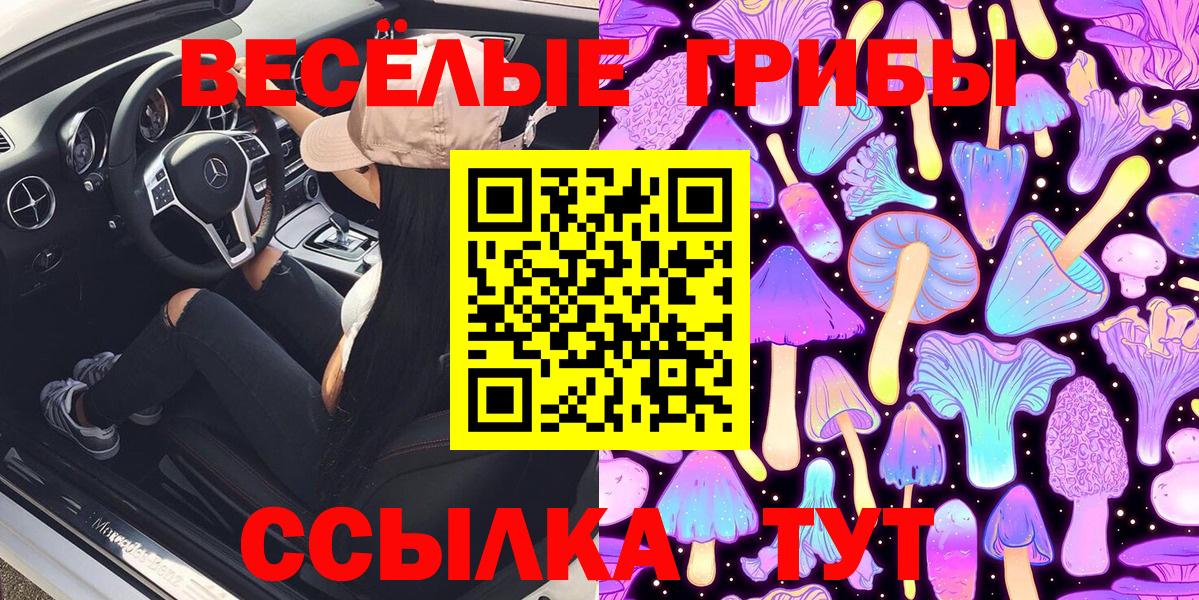 Шадринск  Галлюциногенные грибы прущие грибы  Вход с VPN 